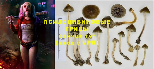 jwh Белокуриха