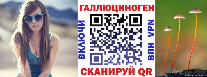 блэк спрут как войти  Славгород  Псилоцибиновые грибы Psilocybine cubensis 